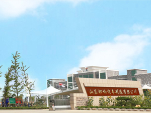 山东锣响汽车制造有限公司
